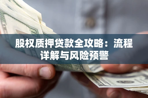 北京股权质押贷款全攻略：流程详解与风险预警