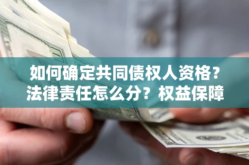 北京如何确定共同债权人资格？法律责任怎么分？权益保障技巧揭秘！