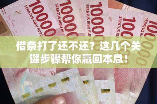 北京借条打了还不还？这几个关键步骤帮你赢回本息！