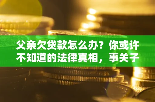 北京父亲欠贷款怎么办？你或许不知道的法律真相，事关子女未来