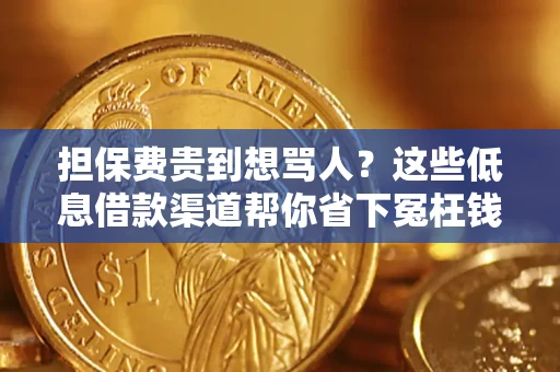 北京担保费贵到想骂人？这些低息借款渠道帮你省下冤枉钱