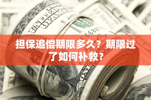 北京担保追偿期限多久？期限过了如何补救？